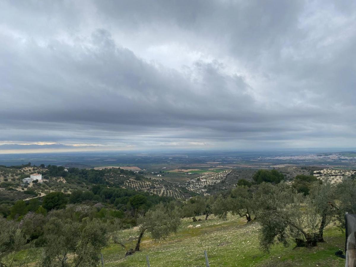 Vina Zarzarrosa Osuna Buitenkant foto